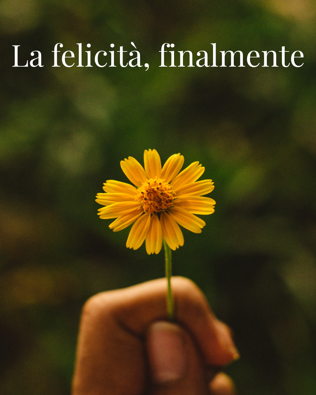 La felicità, finalmente ✦ Guida pratica