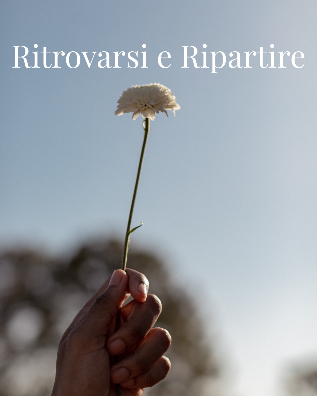 Ritrovarsi e Ripartire ✦ Il percorso di 30 giorni
